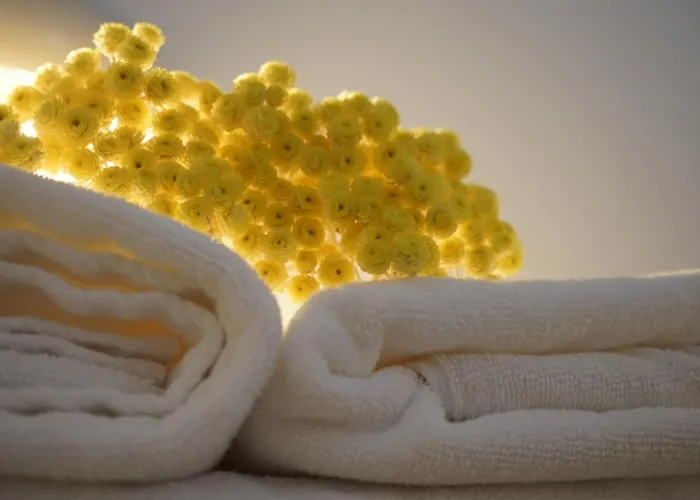 Appartamento Bast 17 Dom Duzy Parking , Mandoria , Ptak , 2 Sypialnie Lub 1 Sypialnia, Taras , Autostrada A1, Kalinowskiego 17e Wifi