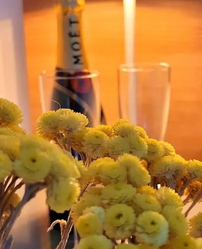 Bast 17 Dom Duzy Parking , Mandoria , Ptak , 2 Sypialnie Lub 1 Sypialnia, Taras , Autostrada A1, Kalinowskiego 17e Wifi Łódź